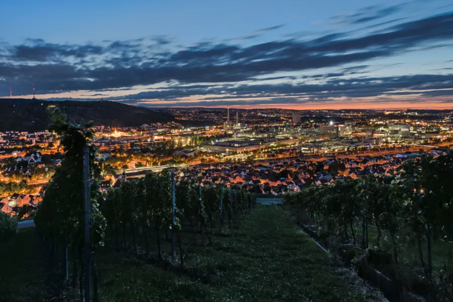 View over the vineyards to the illuminated Mercedes-Benz Untertürkheim plant at night
